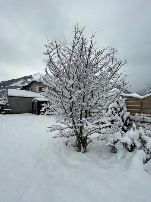 Bel Appartement Dans Residence Cheminee /Jardin Luz-Saint-Sauveur Bagian luar foto